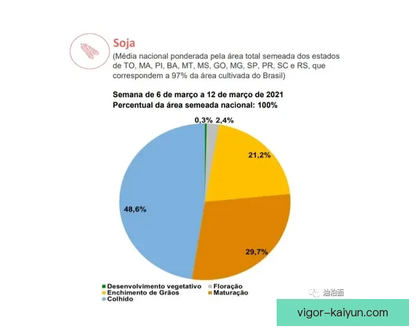 穆西亚拉持续展现球场上的艺术魅力，表现亮眼。